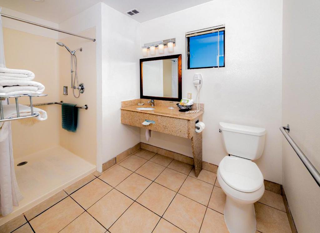 Buena Vista Motor Inn photo