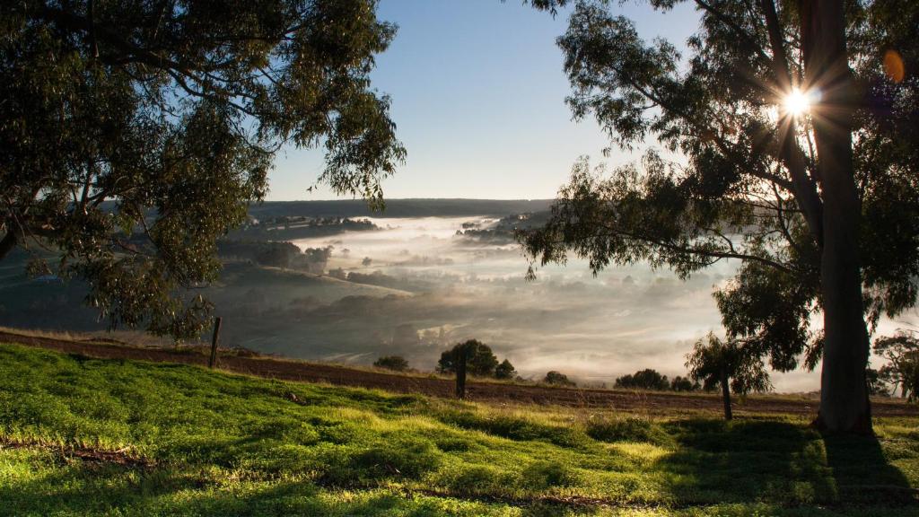 a view of a foggy field with a tree and the sun at Balingup Heights Hilltop Forest Cottages in Balingup