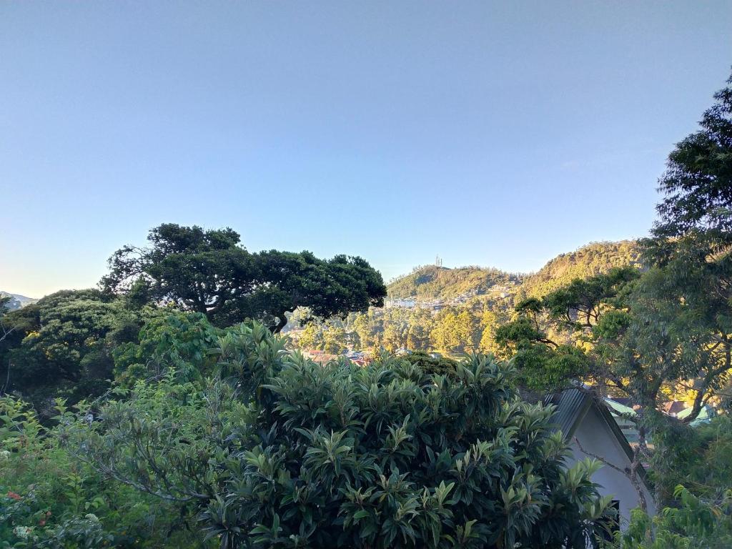 B&B Nuwara eliya - 18