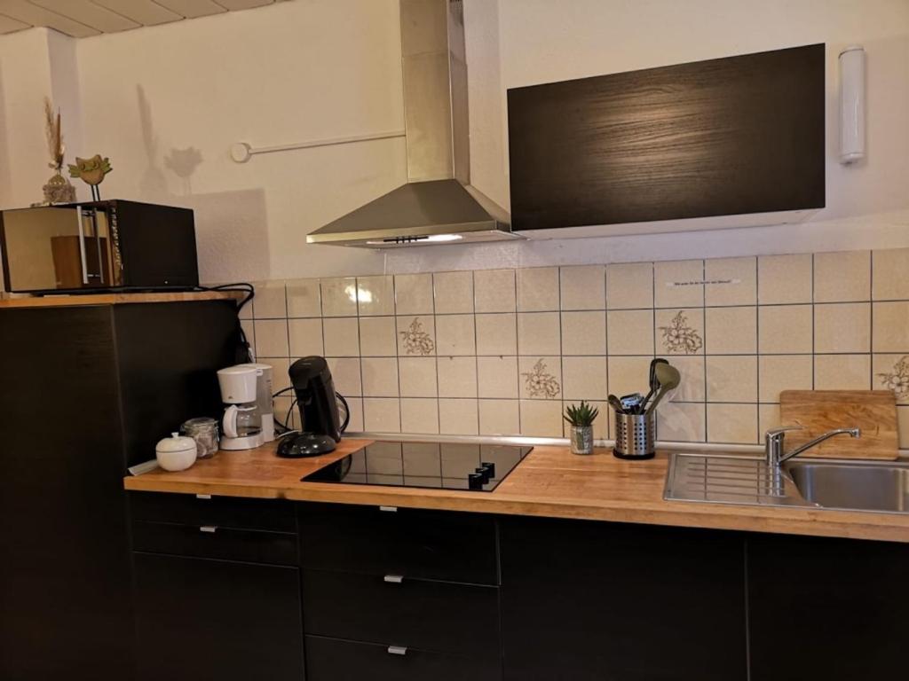 eine Küche mit einer Spüle und einer Arbeitsplatte in der Unterkunft Apartmenthaus Marten in Dortmund