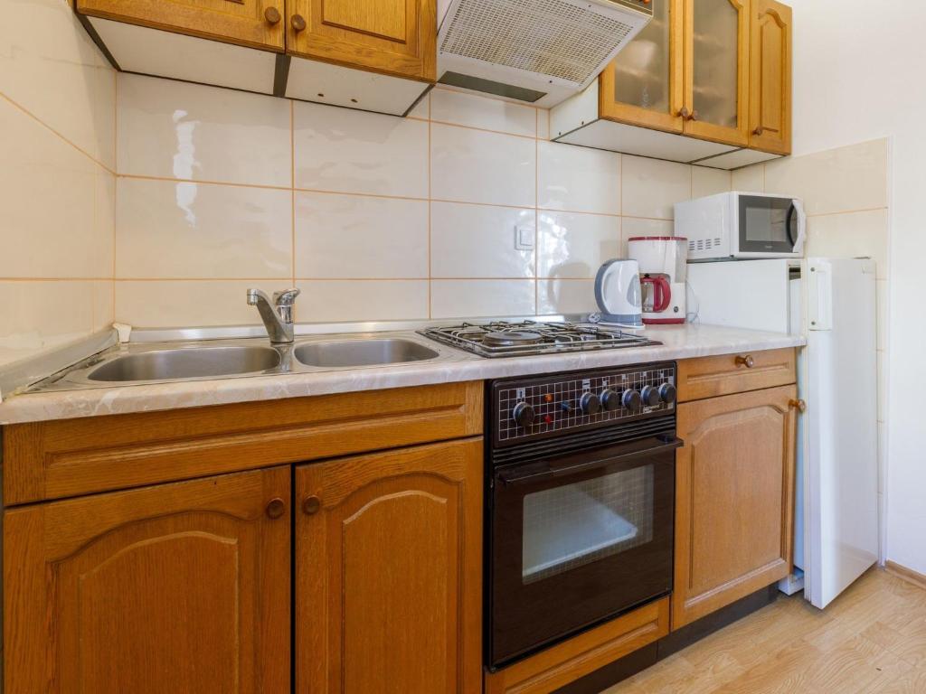 Kuchyň nebo kuchyňský kout v ubytování Apartment Roni