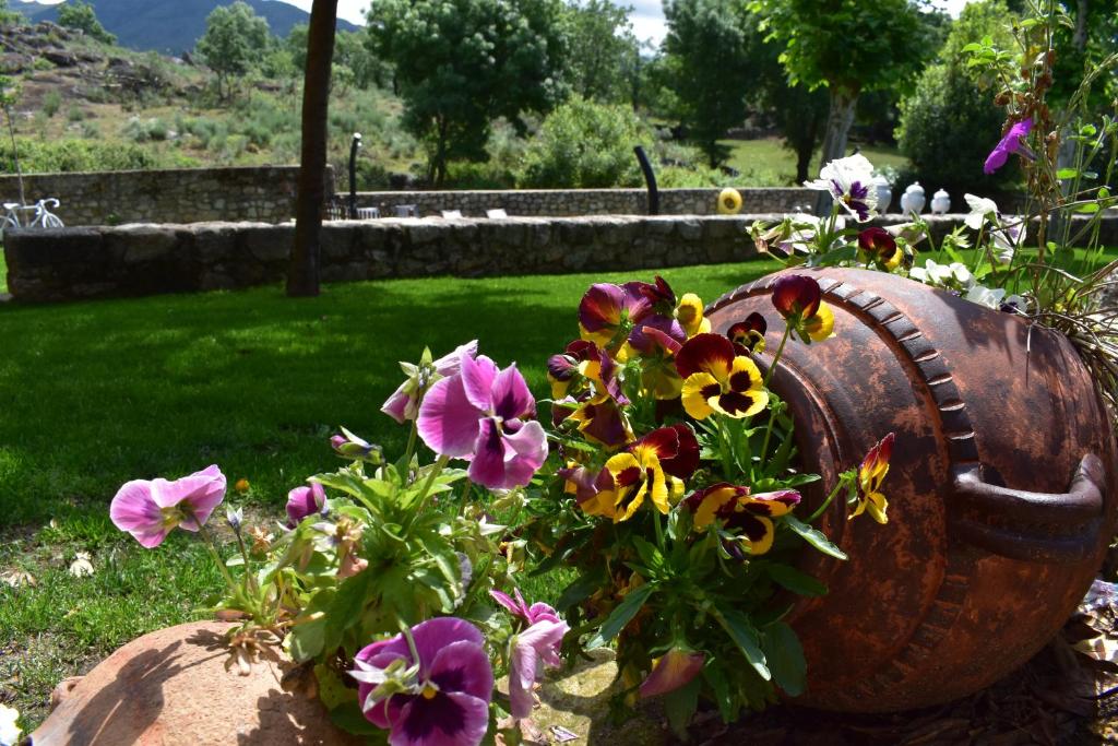 Jardín al aire libre en HOTEL RURAL A VELHA FABRICA