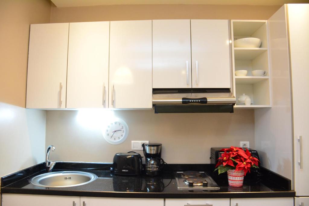 Kuchyň nebo kuchyňský kout v ubytování RENT-INN Suites Hotel