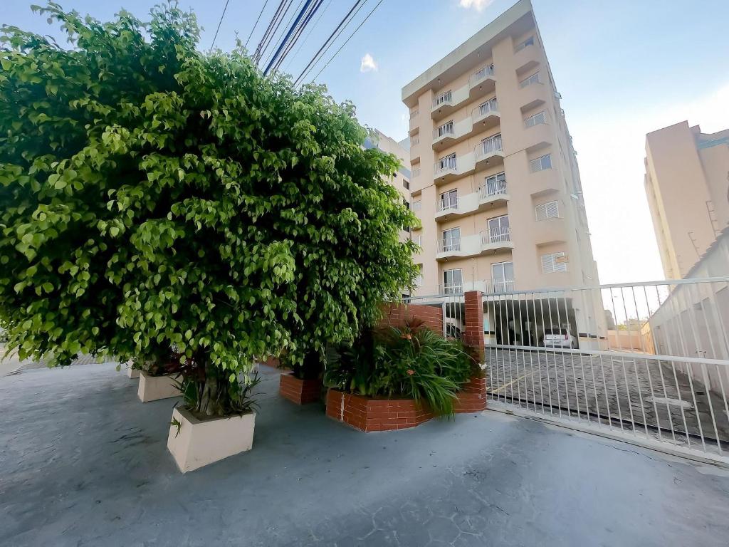  Apartamento com vista para o mar na praia Indaiá