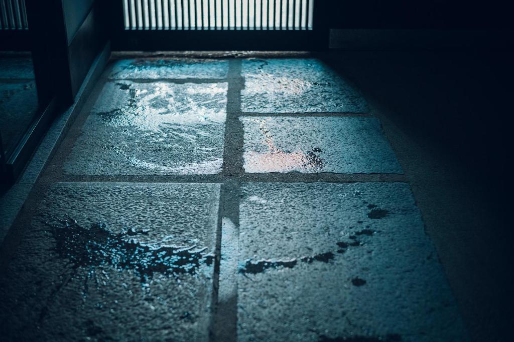 Fotografie z fotogalerie ubytování THE HIRAMATSU KYOTO v Kjótu