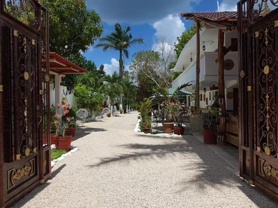an empty street with a bunch of plants and buildings at Hotel Casa Lima Bacalar in Bacalar