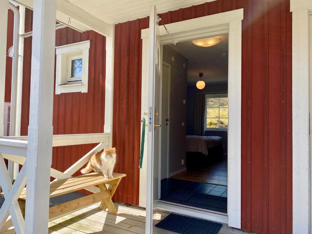 Fotografie z fotogalerie ubytování Wallby Säteri v destinaci Skirö