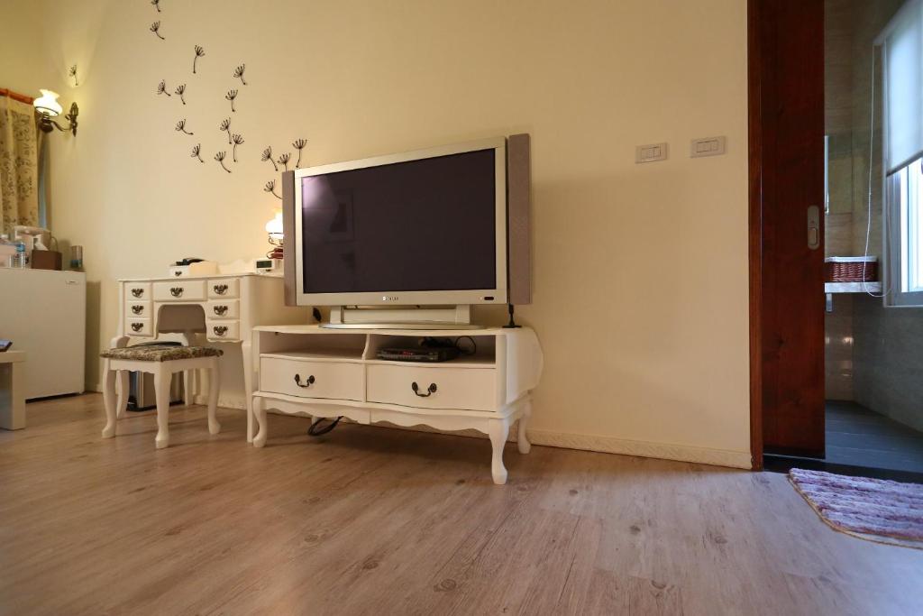 TV a/nebo společenská místnost v ubytování Focaccia Manor B&B