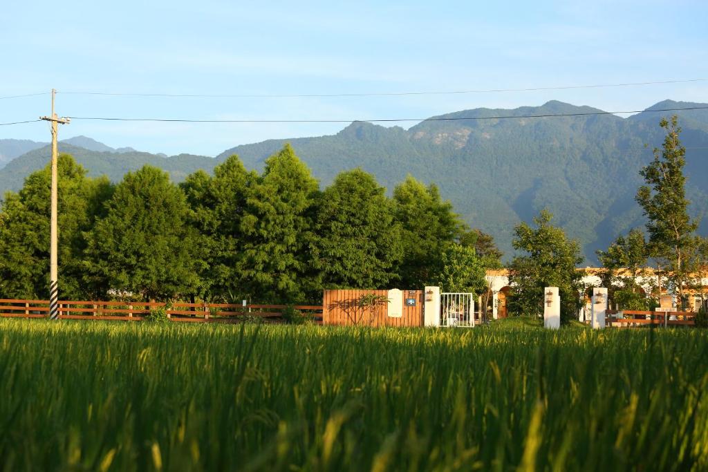 a field of tall grass with mountains in the background at Focaccia Manor B&B in Fengping