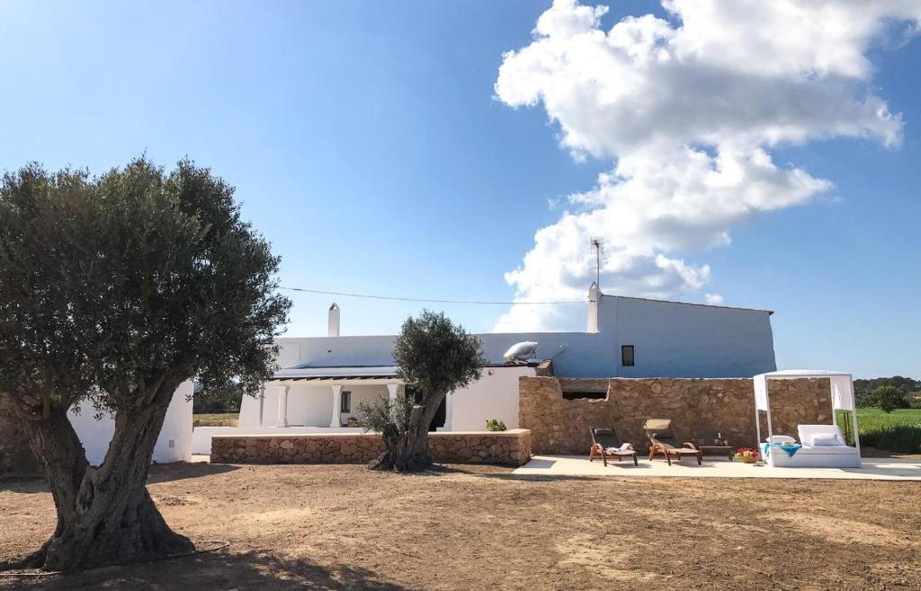 una casa bianca con un albero davanti di Can Marianet a San Ferrán de ses Roques