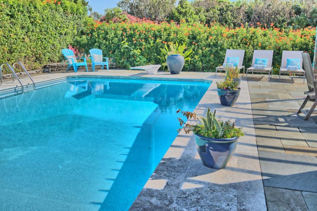 a swimming pool with blue chairs and a patio at Beach Walk Studio in Paget Parish