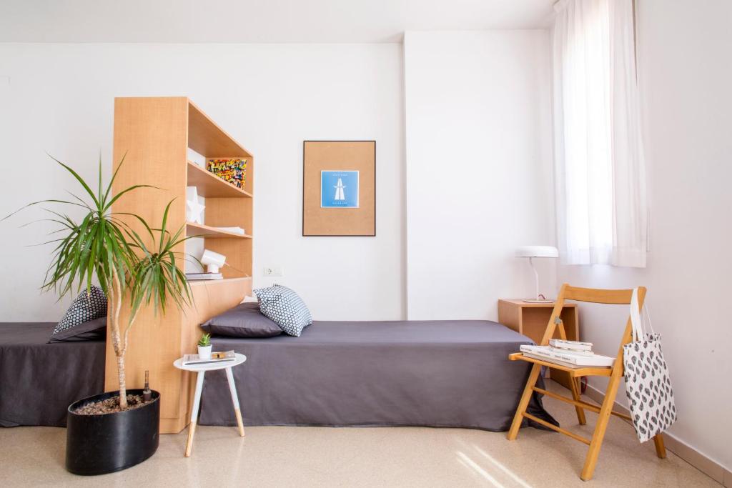 a bedroom with a bed and a plant in it at Residencia Universitaria Francesc Giralt i Serrà in Terrassa