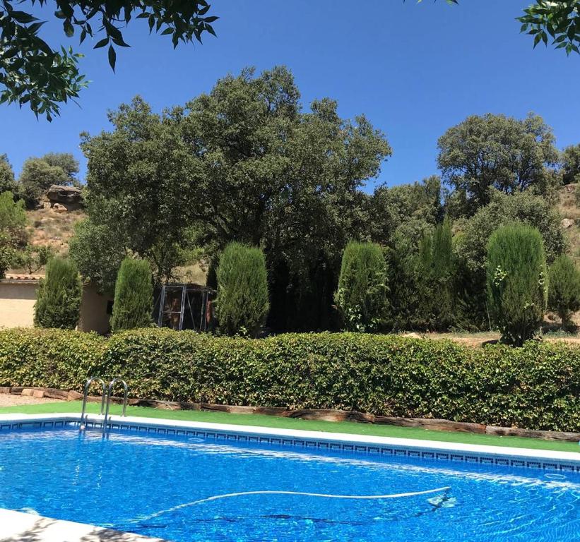 a swimming pool with a tree in the background at Allotjament Rural Solsona in Solsona