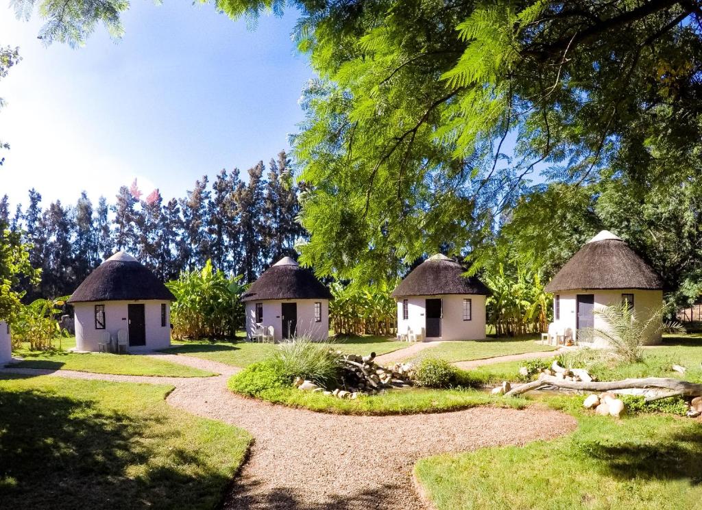 a group of cottages with grass roofs at Addo African Home in Addo