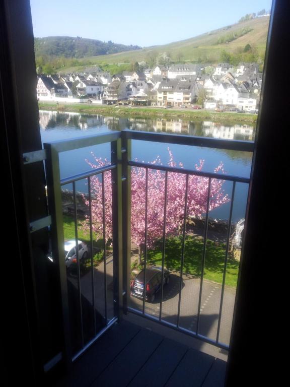 a view from the door of a room with a window at Pension Adelheid Moselhype&Wine in Zell an der Mosel