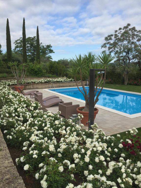 Hồ bơi trong/gần Villa Cecalina