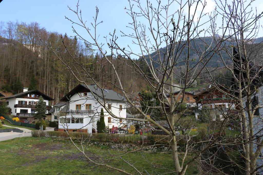 Wolf & Schaf Apartments - 6