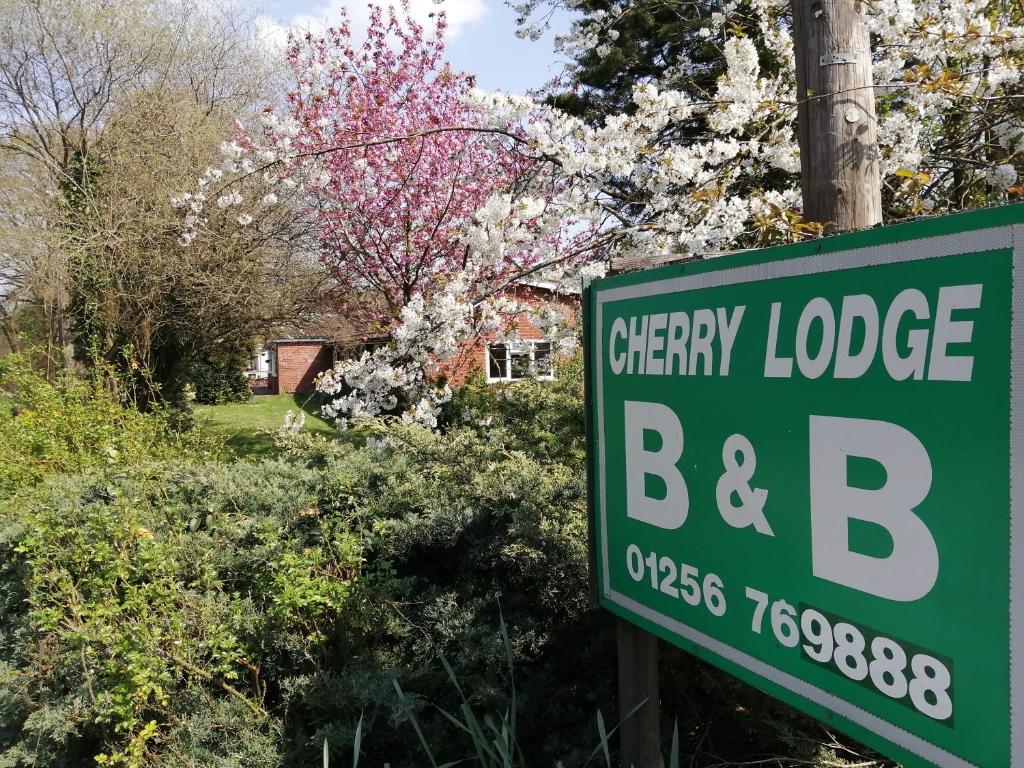 フックにあるCherry Lodgeの桜屋の緑の看板