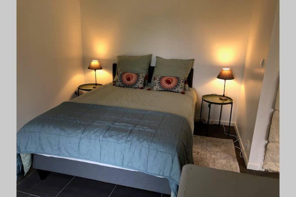 a bedroom with a large bed with two lamps at Le Logis de la Tour Saint Jacques in Chouzé-sur-Loire