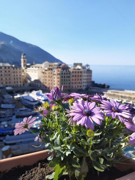 a bouquet of purple flowers sitting on a ledge at La mansarda sul Porto in Camogli