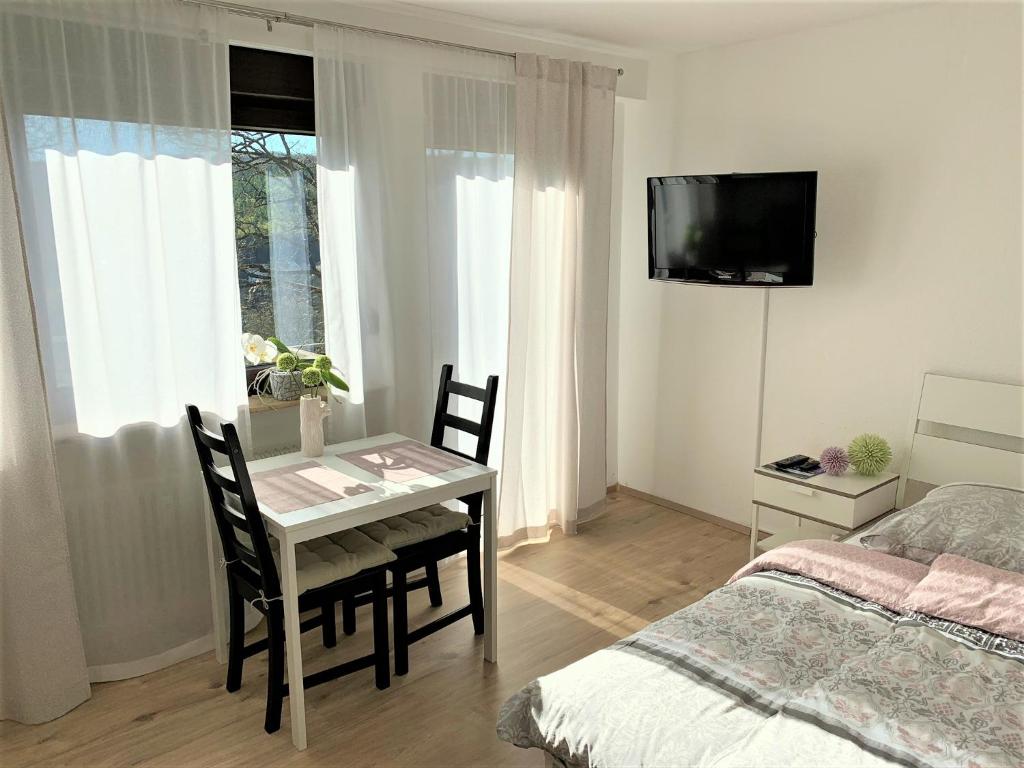 TV a/nebo společenská místnost v ubytování Top Modernes 1-Zimmer-Apartment mit Küche, Parkplatz, kostenfreiem WLAN und Netflix
