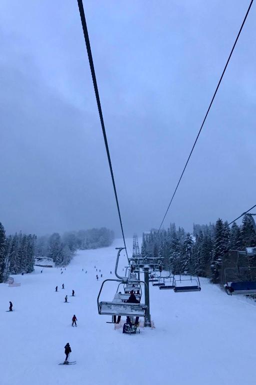 Chalet Borzhava v zimě