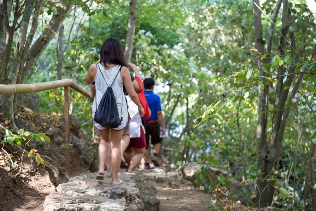 Bajul Eco Lodge Plataran