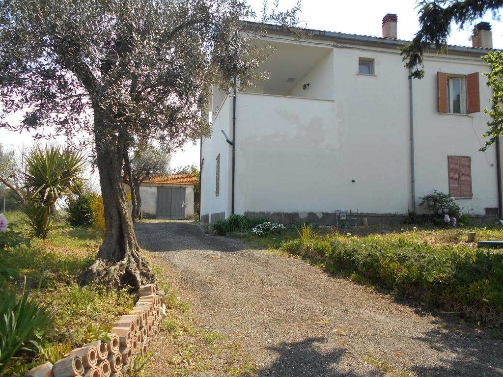 een wit huis met een boom en een grindweg bij Casa LOLU in Ortona
