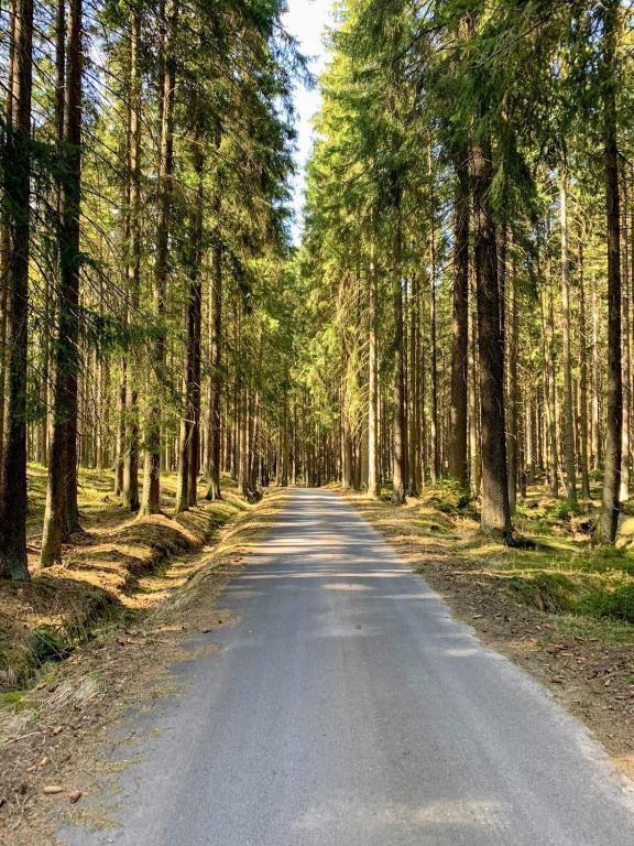 Příroda nedaleko apartmánu