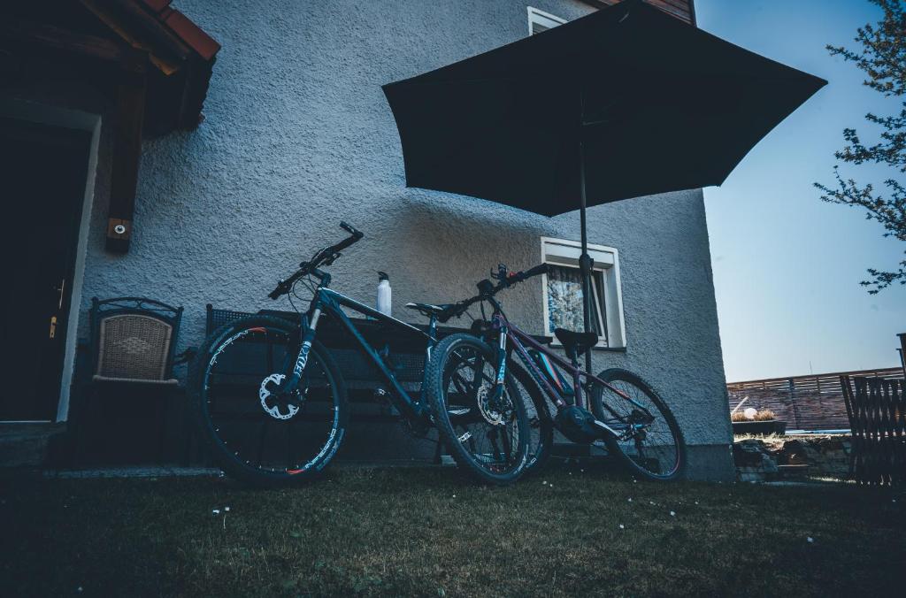 Jazda na bicykli v okolí ubytovania Mayerhofer House