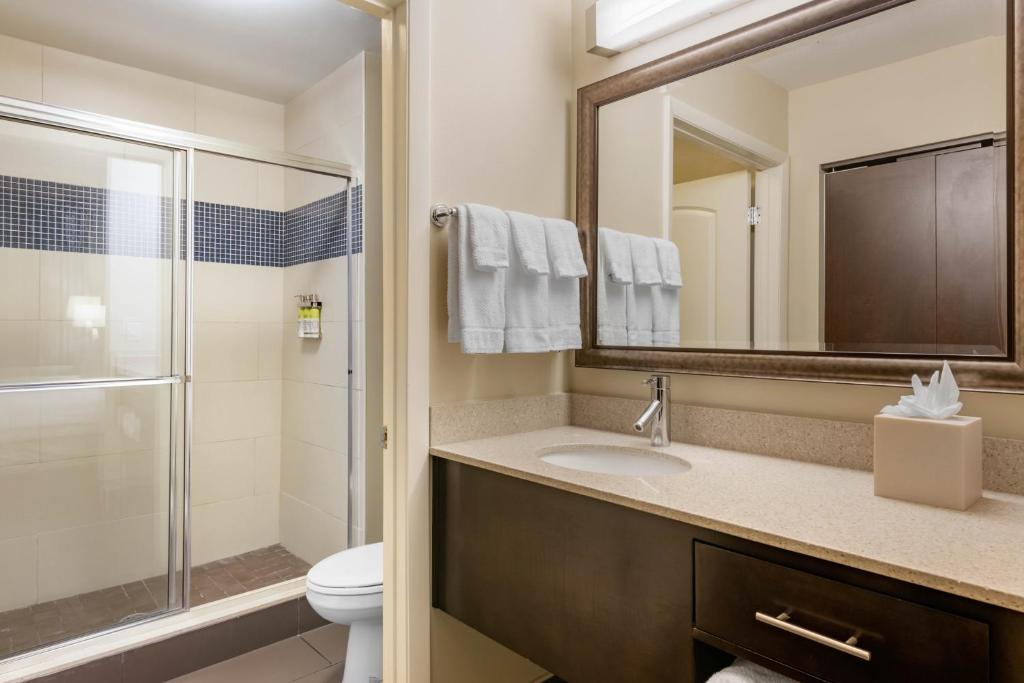Staybridge Suites St. Petersburg FL by IHG photo