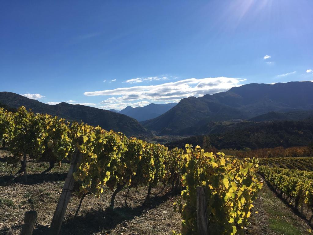 un montón de uvas en un viñedo con montañas en el fondo en Le gîte de Valérie côté jardin, en Die