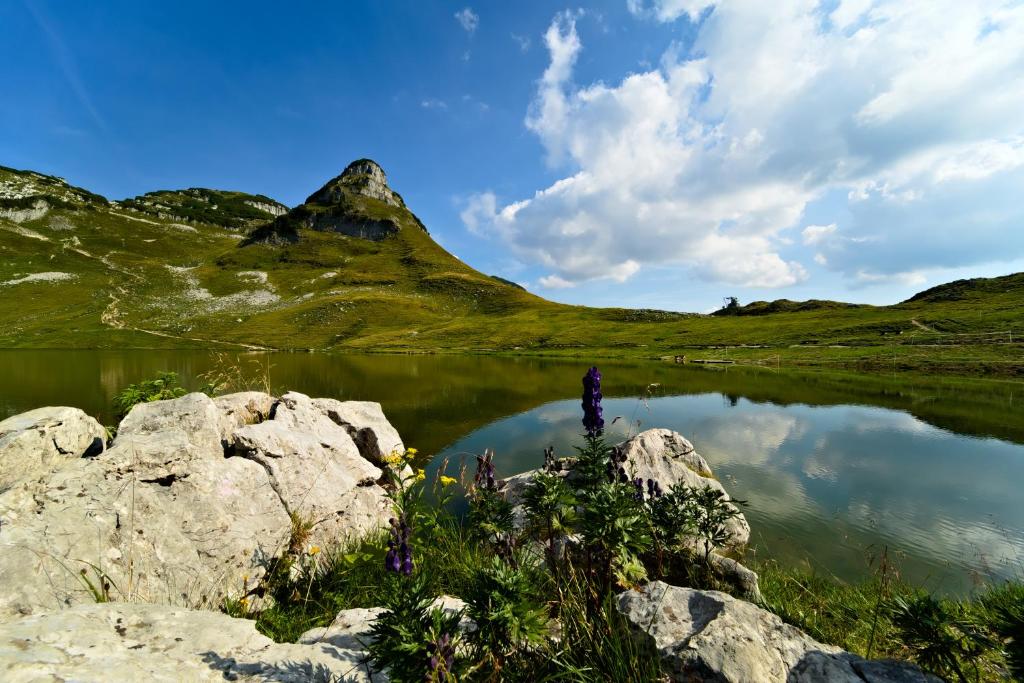 Fotografia z galérie ubytovania Gütl Plank v destinácii Altaussee