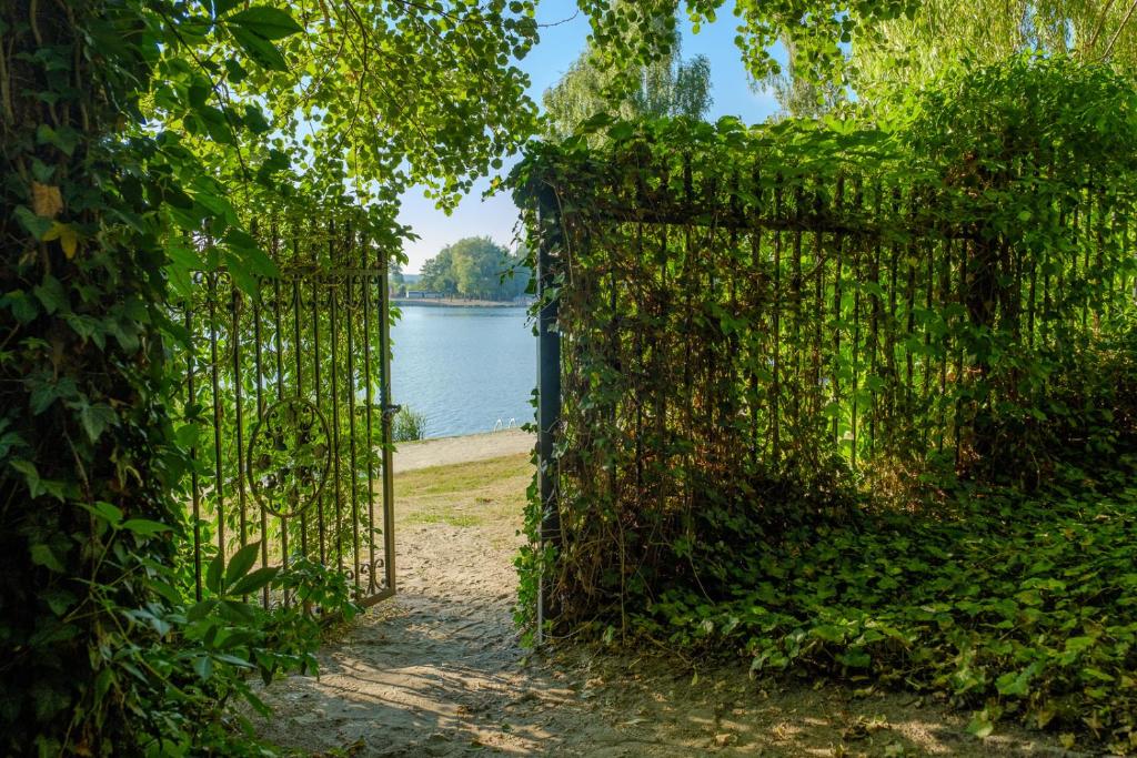 Open gate surrounded by lush greenery, leading to a serene lake view.