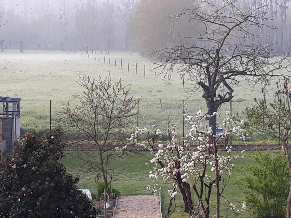 BEDLOIRE tesisinin dışında bir bahçe