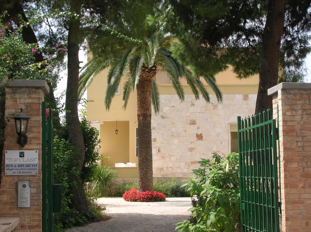 un portail avec un palmier en face d'une maison dans l'établissement Bed and Breakfast Top Class, à Bari