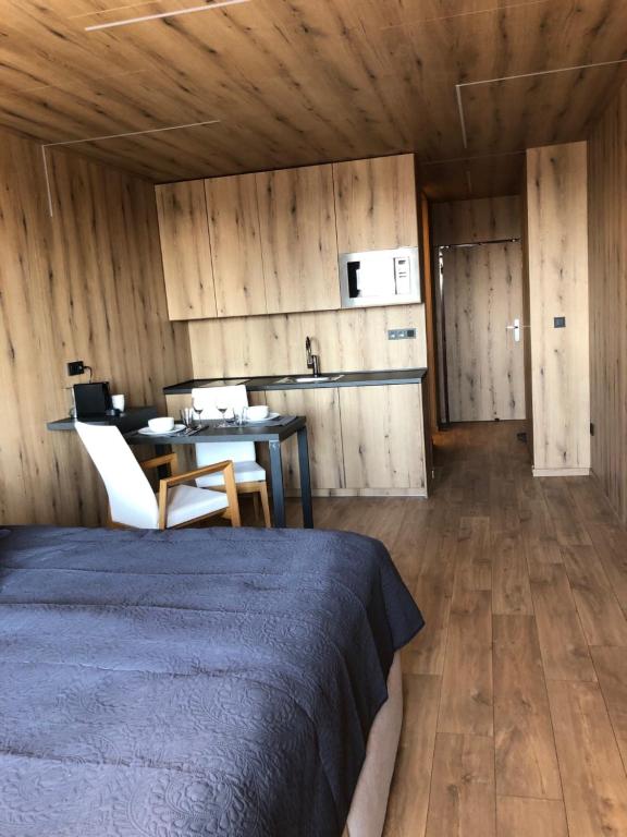 Kuchyň nebo kuchyňský kout v ubytování Studio Ostrava - Maroldova