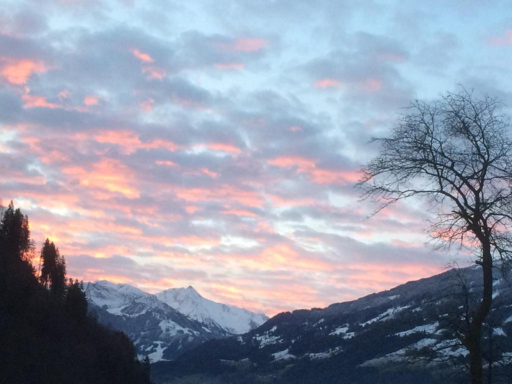 Restaurant Appartements Almdiele - 14