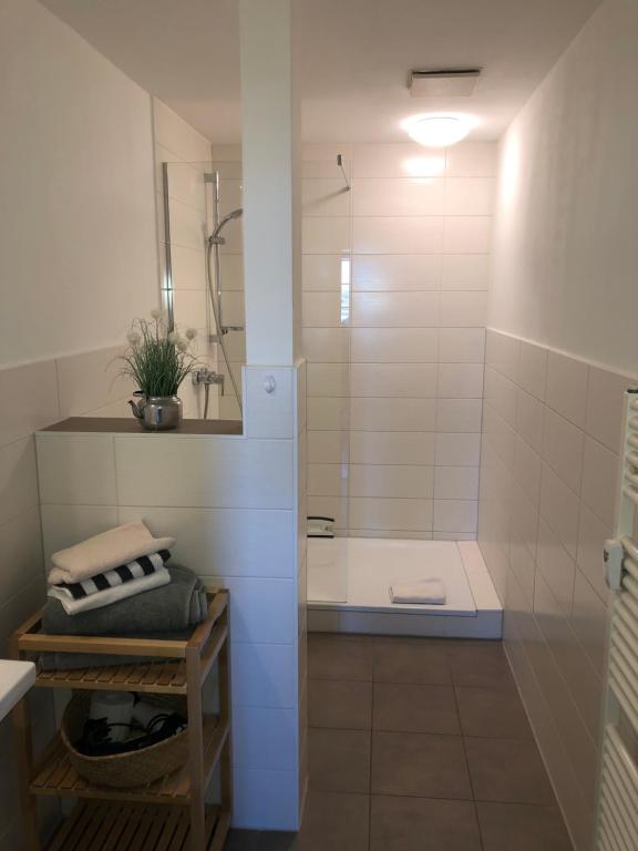 a bathroom with a shower with a tub at Ferienwohnung Warnemünde - Landhaus Immenbarg in Diedrichshagen