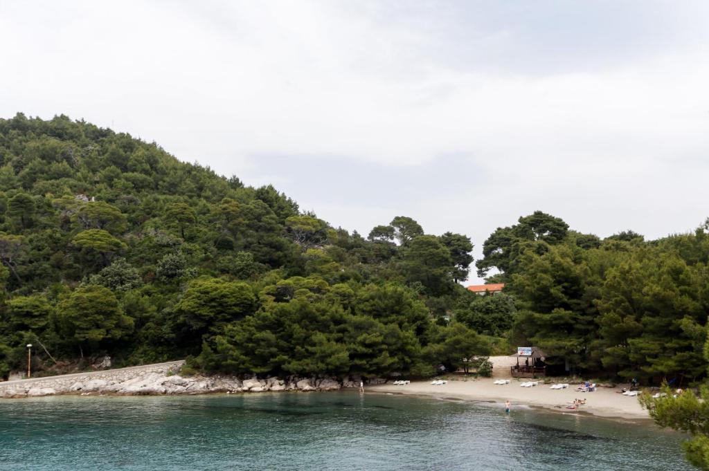 plaża z grupą ludzi na brzegu w obiekcie Apartments Skurla w mieście Saplunara