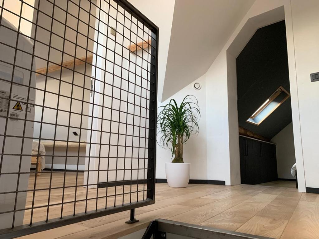 ein Zimmer mit einer Trennwand mit einer Pflanze darin in der Unterkunft Froissart Studio in Chimay