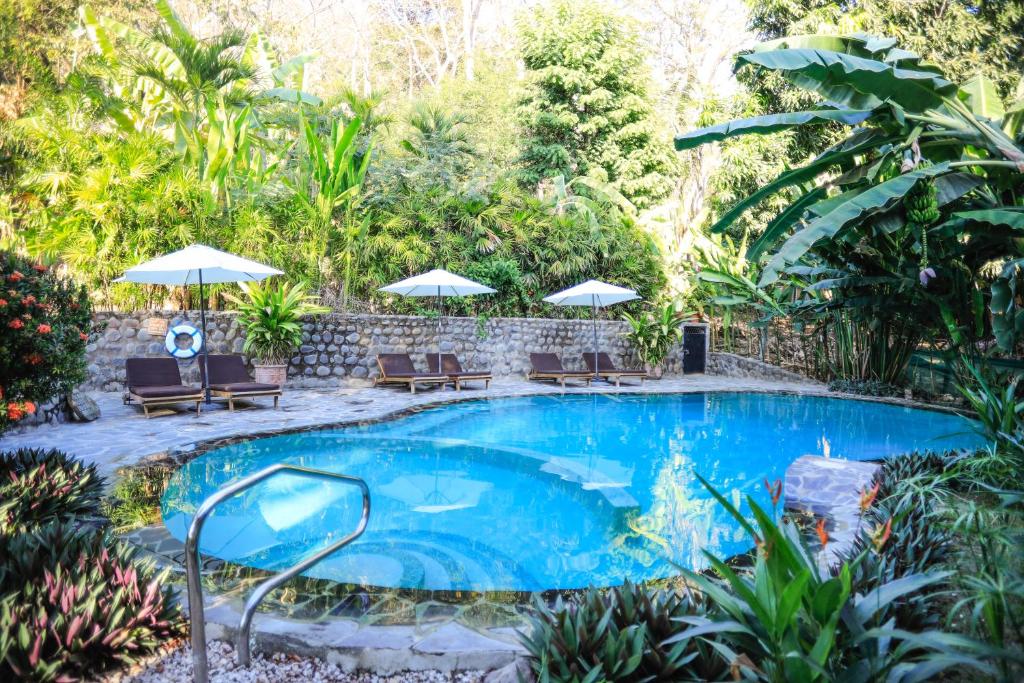 a swimming pool in a garden with chairs and umbrellas at Manala Hotel in Santa Teresa Beach