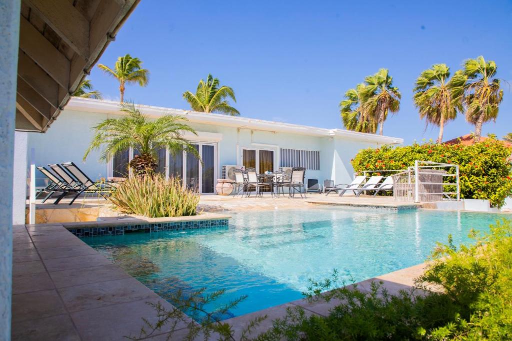 鷹海灘的住宿－Malmok Ocean Front Villa，棕榈树屋前的游泳池