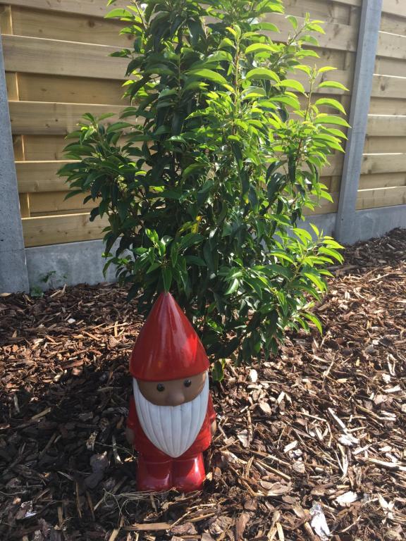 Aed väljaspool majutusasutust Jardin Jannik