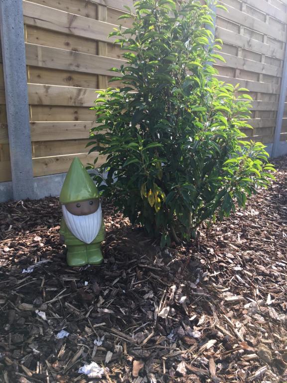 Aed väljaspool majutusasutust Jardin Jannik