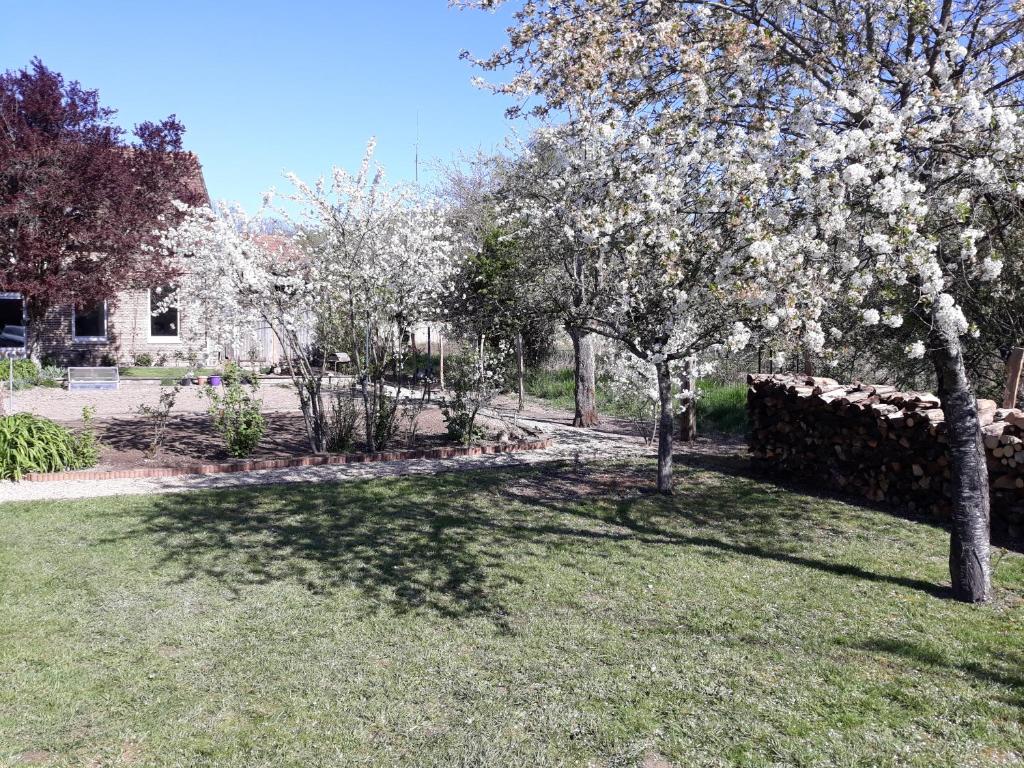 a tree with white flowers in a yard at La maison d&#39;Eléonore in Chennegy
