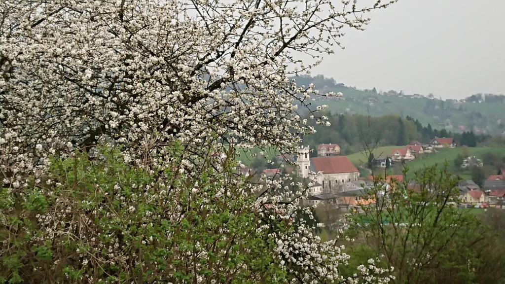 Příroda nedaleko penzionu