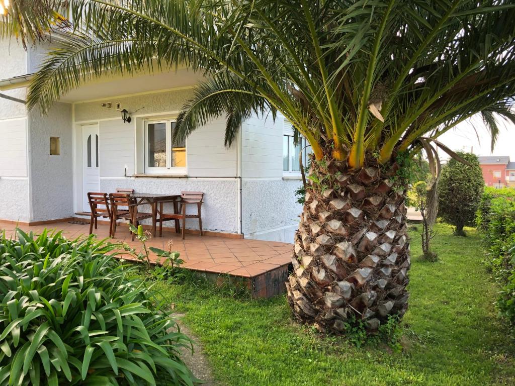 a palm tree in front of a house with a table at Casa Maria in Barcia