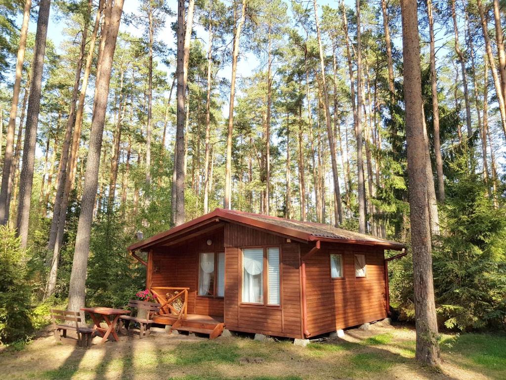 皮什的住宿－Mazurska Sielanka na Wiartlu，树林中的小木屋,配有野餐桌