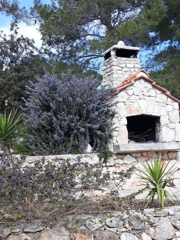 Zahrada ubytování Holiday Hvar